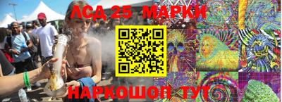 индика Можайск