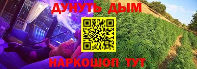 индика Можайск