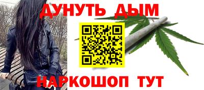 индика Можайск