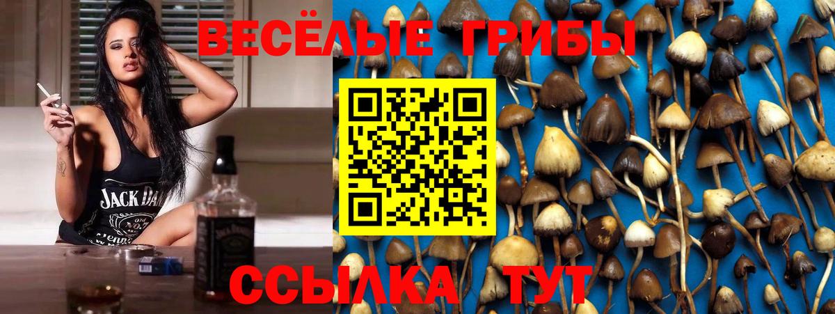 Ишим  Псилоцибиновые грибы Psilocybe  Псилоцибиновые грибы мицелий  Вход с VPN 